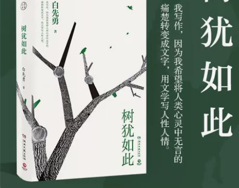 批发笔记本A5办公记事本软面抄加厚(树犹如...