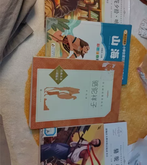 初一老师叫买的，骆驼祥子，山海经，朝花夕拾...