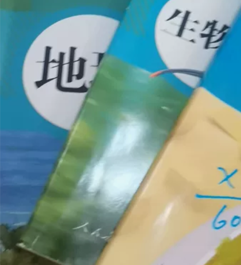 人教版初中七年级上册全套道德与法治政治  ...