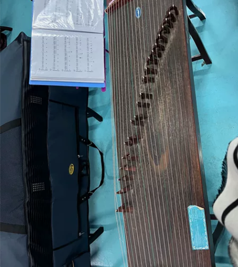 金艺古筝 4000多购入  550 黄山自...