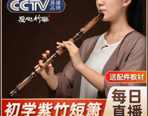 洞箫短箫乐器初学入门专业高档紫竹六古风八孔...