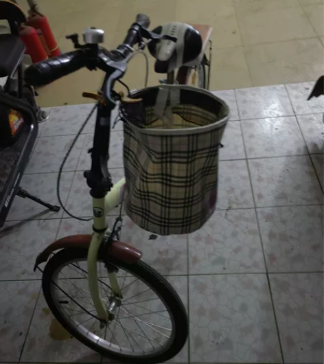 可折叠自行车女式超轻便携变速单车，八成新。...