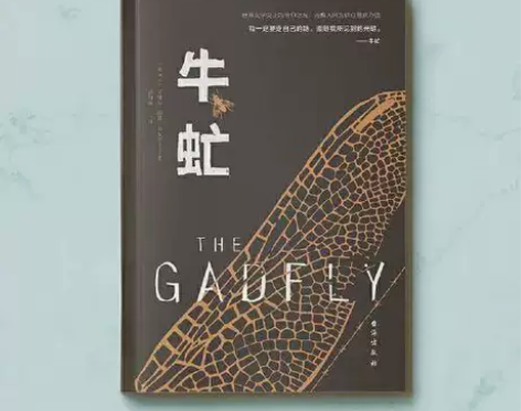 牛虻 全译本伏尼契 外国文学名著读物 世界...