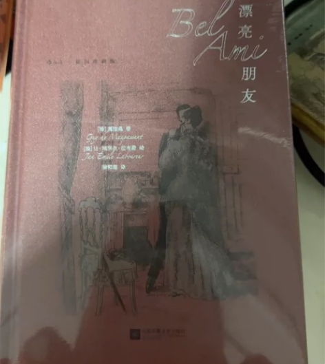 漂亮朋友特装书特装笔记本 后浪插图珍藏版 ...