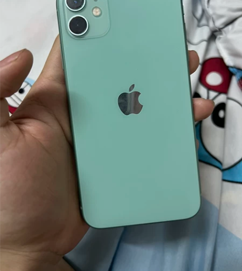 出自用11，转手原因 ：换了13pro，手...