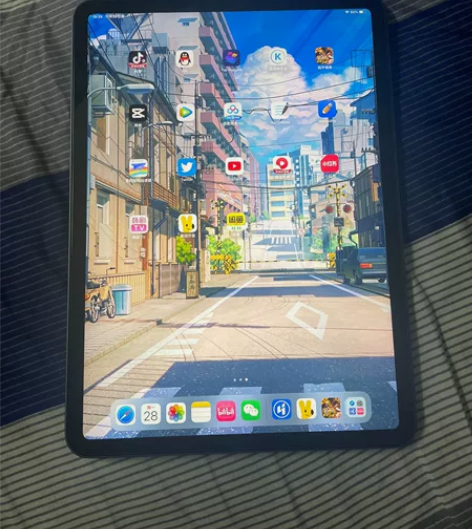 出一个Ipadpro2021 256g储存...