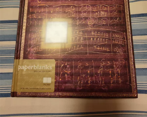 paperblanks绝版笔记本，大本空白...