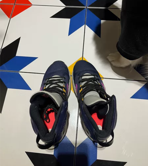 AJ6乔丹运动鞋  NIKE JORDAN...