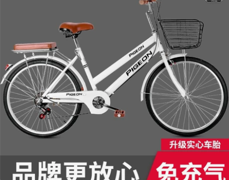 飞鸽自行车，上班代步26寸单车，刚买了半年...