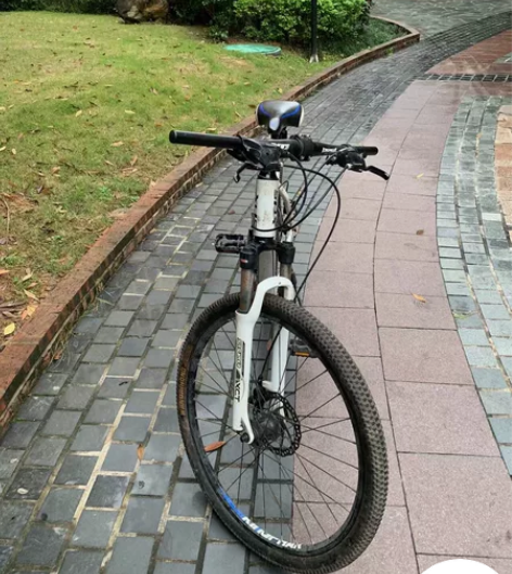 喜德盛逐日600公路自行车，26*19的，...
