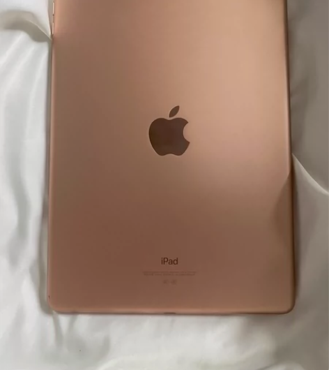 自用iPad，急用钱，1680出 保护的很...