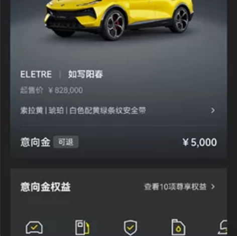 路特斯Eletre,电动超跑Suv, 享受...