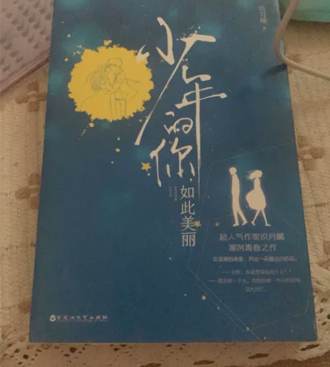 言情小说 爱情故事 青春文学 《少年的你 ...