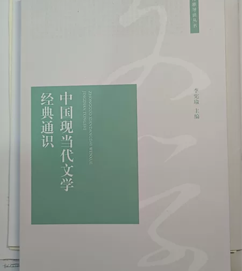 《中国现当代文学经典通识》 全新正版 北...