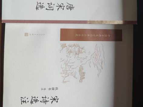 中国人民文学出版社的唐宋词选+宋诗选注 当...