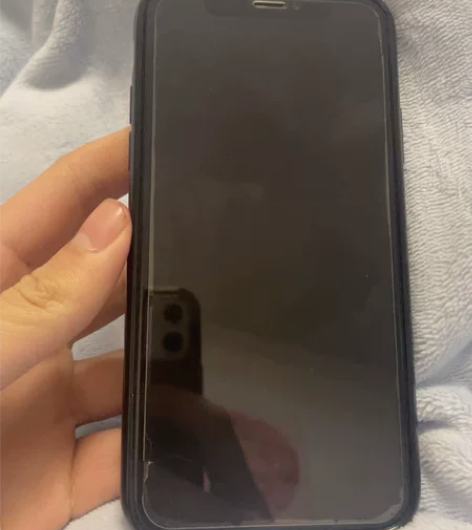 iPhonex银色64g，换过屏幕和电池，...