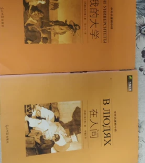 高尔基名著,中外名著榜中榜,在人间,我的大...