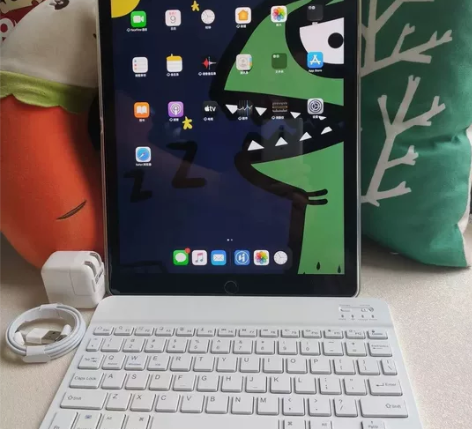 捡漏特价iPad2021插卡版256G大内...