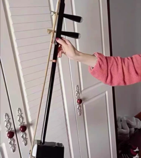 捡漏价，全新转让原价四百多元的苏州二胡演奏...