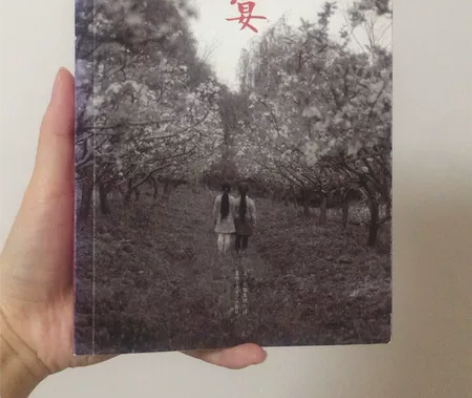 春宴 书 小说 安妮宝贝 九新 北京十月文...