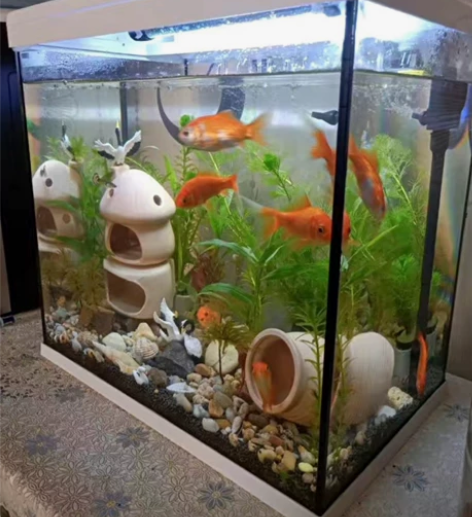 便宜出水族箱桌面微景观金鱼缸玻璃迷你小型客...