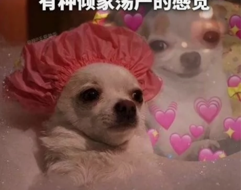 【综合盘票楼】收音乐剧危险游戏 【有】1....