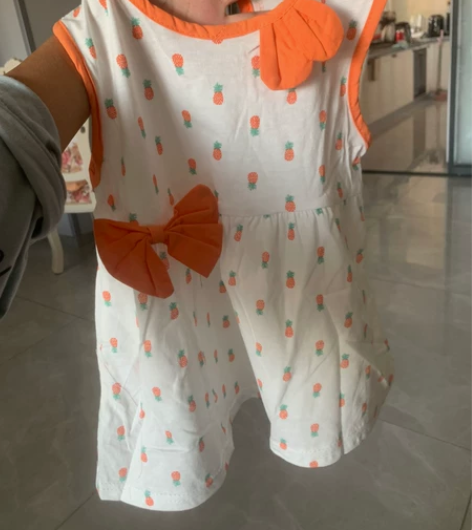 标价即卖家！全新儿童宝宝纯棉小裙子90码假...