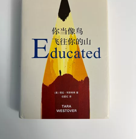 你当像鸟飞往你的山 中文版 塔拉韦斯特弗著...