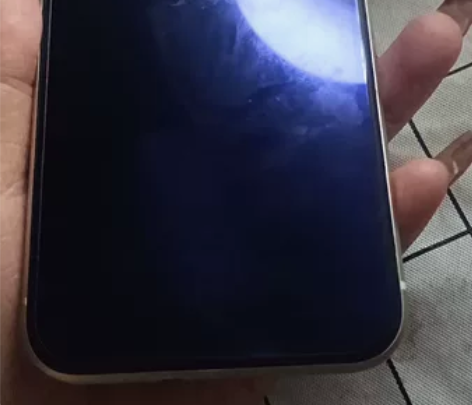 苹果11手机 可小额还价 有意者联系  喜...