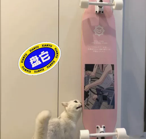 退坑价着急出 专业版长板舞板，全新未拆封专...