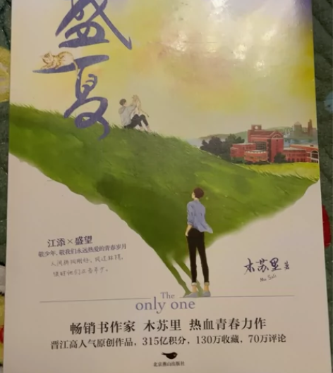 盛夏裸书 感兴趣的话点“我想要”和我私聊吧...