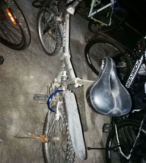 日本厂品牌折叠变速车,八级变速 全原装 ....