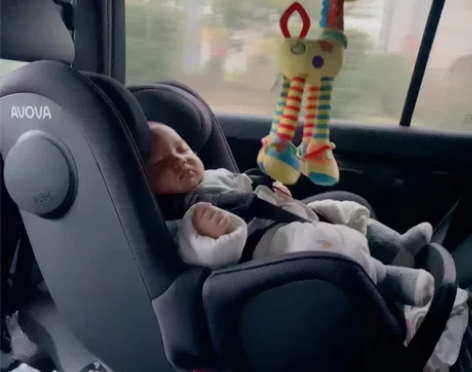 avova 城市猎人 斯博贝 德国原装进口...