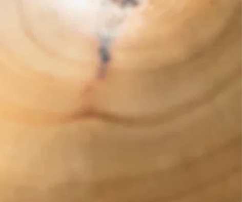 赵之谦书风 禅意 象形 主人杯座 炉座  ...