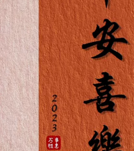 小米13pro  白色 12+512  激...