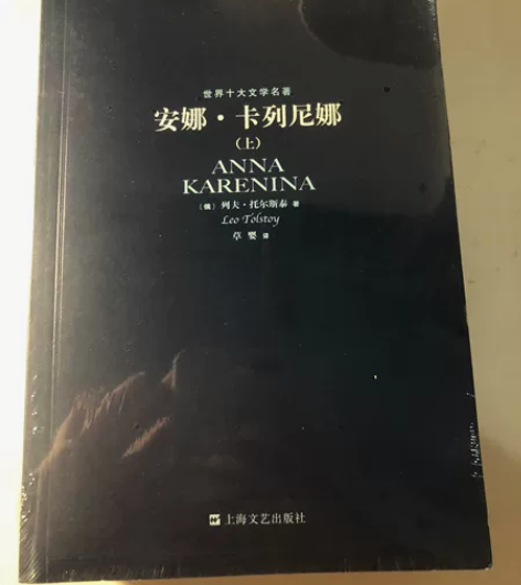 世界十大文学名著之一《安娜·卡列尼娜》 上...