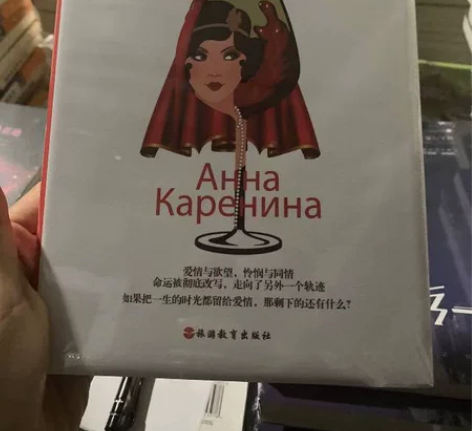 精装 安娜卡列尼娜 文学图书 几乎全新 实...