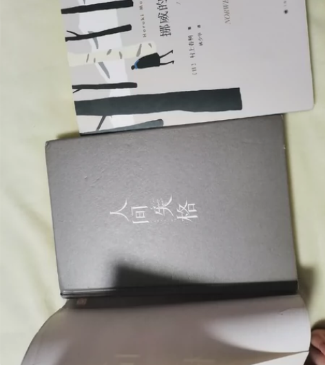 12.9两本书《人间失格》《挪威的森林》 ...