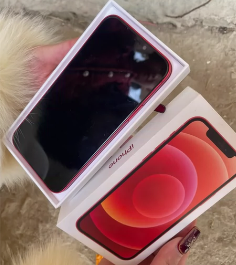 Apple/苹果 iPhone 12 自用...