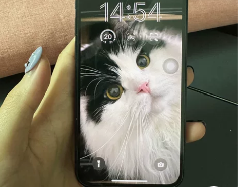 iPhone 12mini 128g 国行...