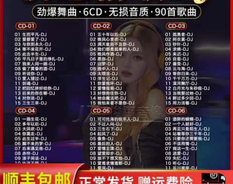 伤感情歌dj热门流行歌曲经典音乐无损高音质...