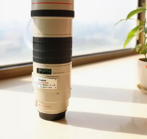 自用佳能ef300 f4is红圈镜头，打鸟...