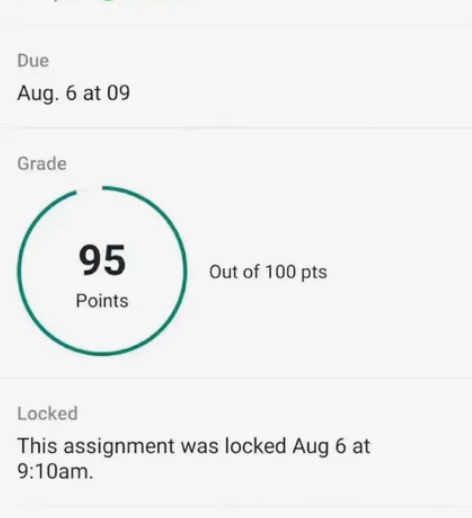 留学生期末考试，辅导，英文统计和数学，金融...