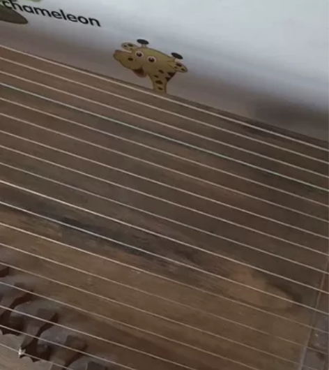 300转让古筝，送调音器，自提 感兴趣的话...