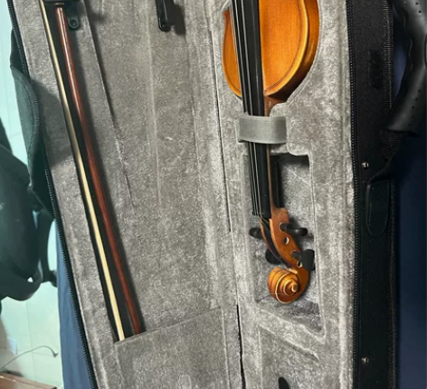 赛尔夫全新小提琴 感兴趣的话点“我想要”和...