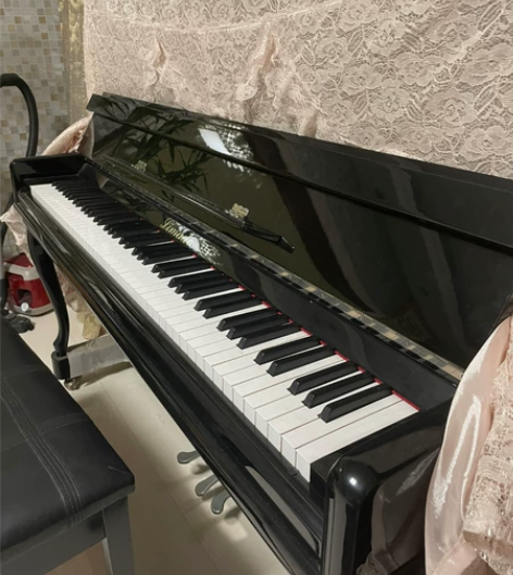 利玛朵钢琴 读书的时候买的,后来一直没弹了...