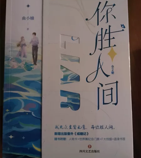 《你胜人间》小说全俩册，全新未拆封，有薄膜...