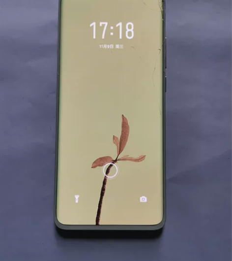 魅族18s，换过屏幕，无暗病，售出不退不换...
