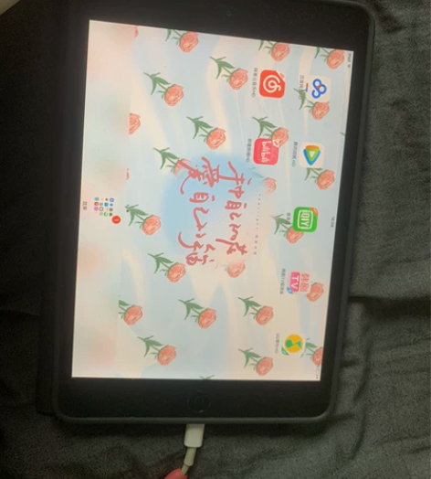 出ipad mini1 自用 拍照像素听清...