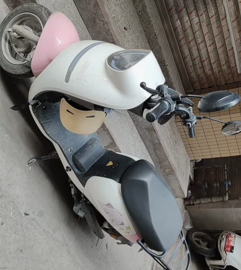 台铃电动车，在实体店买的买时花了2700元...